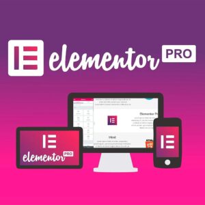 Elementor pro plugin